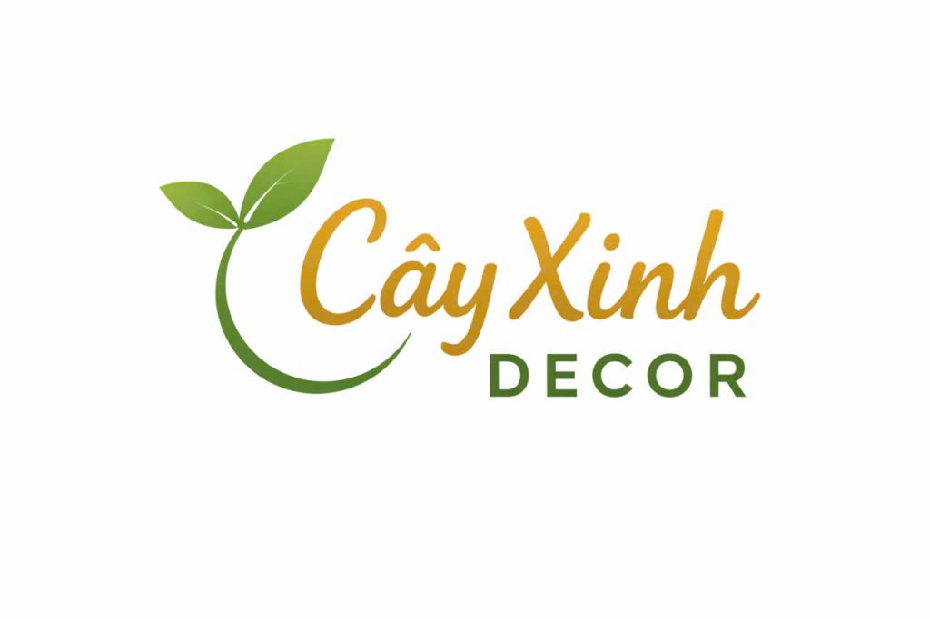 Cây Xinh Decor